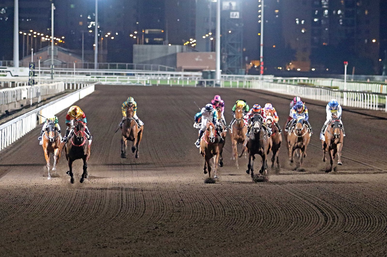又係少有嘅沙田夜馬，AI會失準？